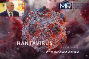 Hantavirus, Alletto (MP):