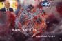 Hantavirus, Alletto (MP):