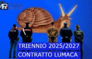 TRIENNIO CONTRATTUALE FORZE DI POLIZIA 2025/2027 DANNOSAMENTE LENTA ED INCONCLUDENTE